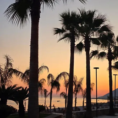 Appartamento Olive Breeze Drymades