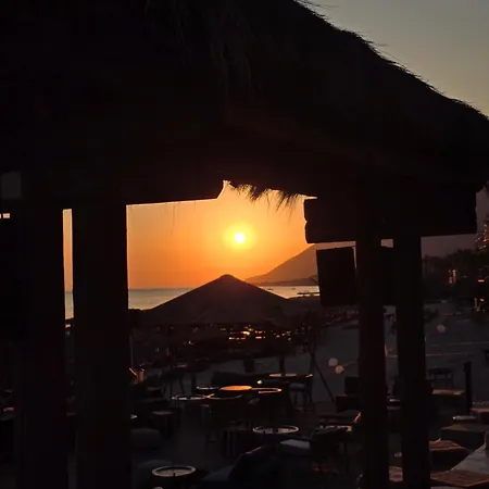 Appartamento Olive Breeze Drymades *