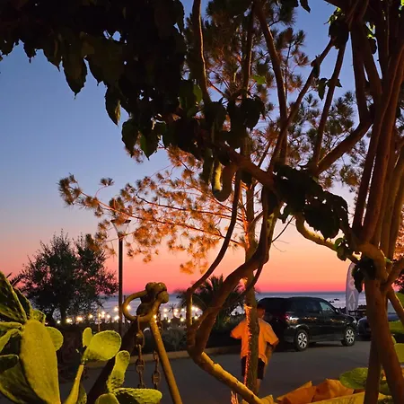 Olive Breeze Drymades Dhërmi