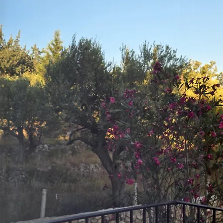 Apartamento Olive Breeze Drymades Dhërmi