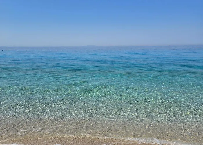 Lejlighed Olive Breeze Drymades