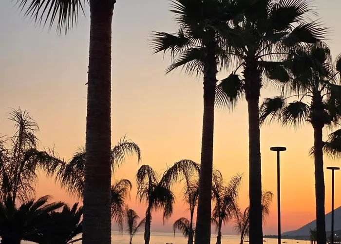 Apartament Olive Breeze Drymades