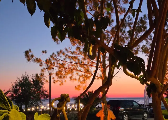 Olive Breeze Drymades Dhërmi