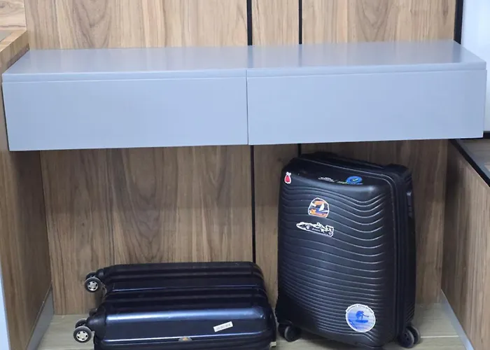 Olive Breeze Drymades